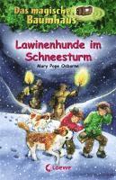 Lawinenhunde im Schnee 1