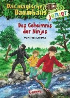 bokomslag Das magische Baumhaus junior 05 - Das Geheimnis der Ninjas