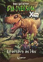 bokomslag Das geheime Dinoversum Xtra - Auf der Fährte des T-Rex