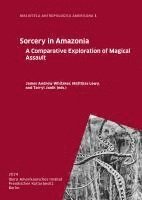 bokomslag Sorcery in Amazonia: A Comparative Exploration of Magical Assault