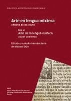 bokomslag Arte en lengua mixteca