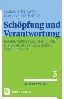 bokomslag Schöpfung und Verantwortung