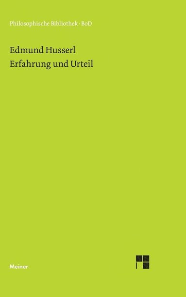 bokomslag Erfahrung und Urteil