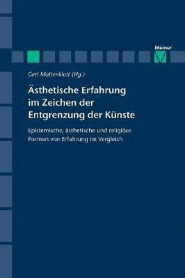 bokomslag sthetische Erfahrung im Zeichen der Entgrenzung der Knste