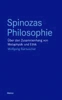 Spinozas Philosophie 1