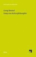 bokomslag Essays zur Kulturphilosophie