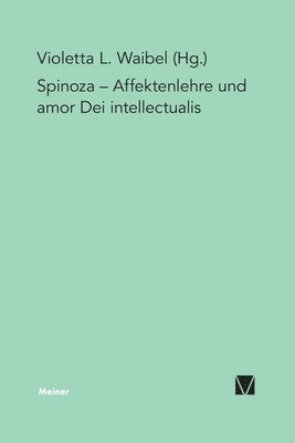 Violetta L Waibel - Affektenlehre und amor Dei intellectualis, Häftad