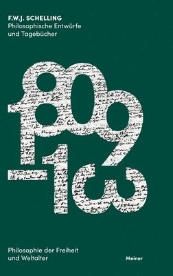 bokomslag Philosophische Entwürfe und Tagebücher 1809-1813