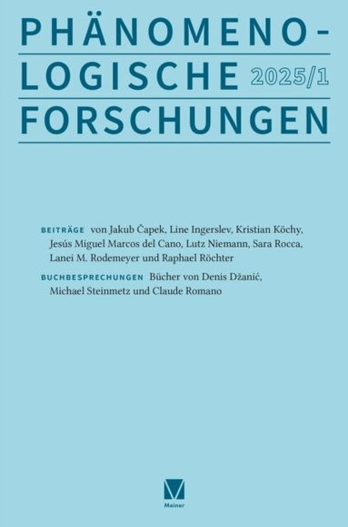 Michela Summa, Inga Romer, Thiemo Breyer - Metaphysik des Konkreten und der Geschichtlichkeit. Systeme, Häftad