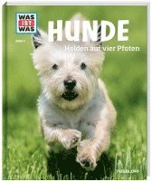bokomslag WAS IST WAS Band 11 Hunde. Helden auf vier Pfoten