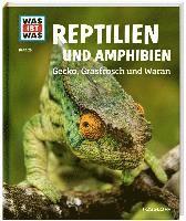 bokomslag WAS IST WAS  Band 20 Reptilien und Amphibien. Gecko, Grasfrosch und Waran