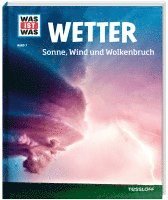 bokomslag Schwanke, K: Wetter. Sonne, Wind und Wolkenbruch