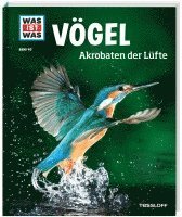 bokomslag WAS IST WAS Band 40 Vögel. Akrobaten der Lüfte