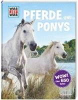bokomslag Was ist was: Pferde und Ponys