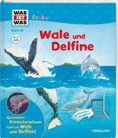 Bärbel Oftring - WAS IST WAS Junior 26. Wale und Delfine, Kartonnage
