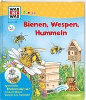 bokomslag WAS IST WAS Junior Band 34 Bienen, Wespen, Hummeln