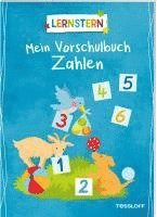 bokomslag LERNSTERN. Mein Vorschulbuch Zahlen