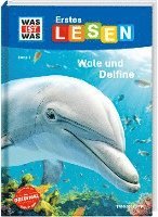 bokomslag WAS IST WAS Erstes Lesen Band 1. Wale und Delfine
