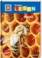 bokomslag Braun, C: WAS IST WAS Erstes Lesen Band 5. Bienen