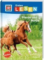 bokomslag WAS IST WAS Erstes Lesen Band 7. Pferde und Ponys