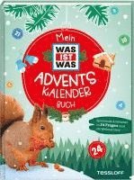 bokomslag Mein WAS IST WAS Adventskalenderbuch 2