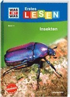 bokomslag WAS IST WAS Erstes Lesen Band 11. Insekten