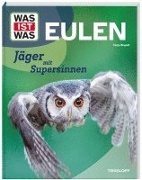 bokomslag WAS IST WAS Eulen. Jäger mit Supersinnen