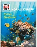 bokomslag WAS IST WAS Korallenriff. Mitten im Gewusel