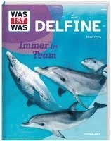 bokomslag WAS IST WAS Delfine. Immer im Team