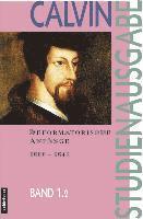 bokomslag Calvin-Studienausgabe