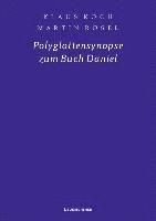 bokomslag Polyglottensynopse zum Buch Daniel