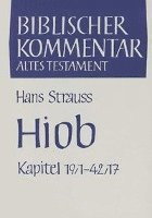 Friedrich Horst, Siegfried Herrmann - Hiob (Kapitel 1-19: Studienausgabe, Häftad