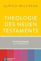 bokomslag Theologie des Neuen Testaments