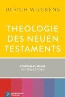 bokomslag Theologie des Neuen Testaments