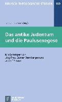 bokomslag Biblisch-Theologische Studien