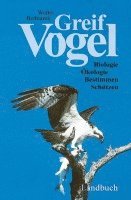 Greifvögel 1