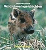 bokomslag Wildschweingeschichten