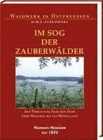 bokomslag Im Sog der Zauberwälder