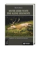 bokomslag Hinter jeder Fichte eine kleine Geschichte Band 3. agdliches von Rehwild und Hirschen