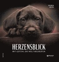 Herzensblick