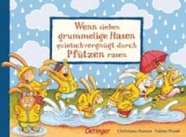 Sabine Praml, Christiane Hansen - Wenn sieben grummelige Hasen quietschvergnügt durch Pfützen rasen, Kartonnage