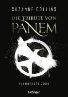 bokomslag Die Tribute von Panem 3. Flammender Zorn