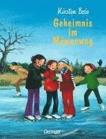 bokomslag Geheimnis im Möwenweg