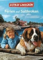 bokomslag Ferien auf Saltkrokan