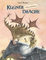 Kleiner, schrecklicher Drache 1