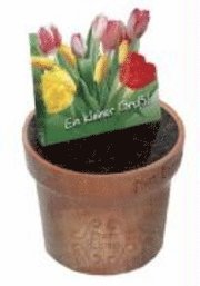 Ein kleiner Gruß - Blumentopfbuch 1