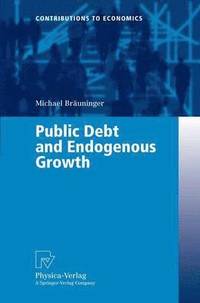 bokomslag Public Debt and Endogenous Growth