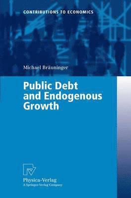 Michael Bräuninger - Public Debt and Endogenous Growth, Häftad