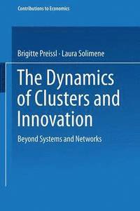 bokomslag Dynamics of Clusters and Innovation