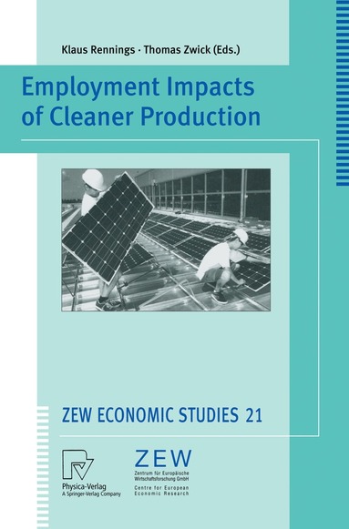 Klaus Rennings, Thomas Zwick - Employment Impacts of Cleaner Production, Häftad